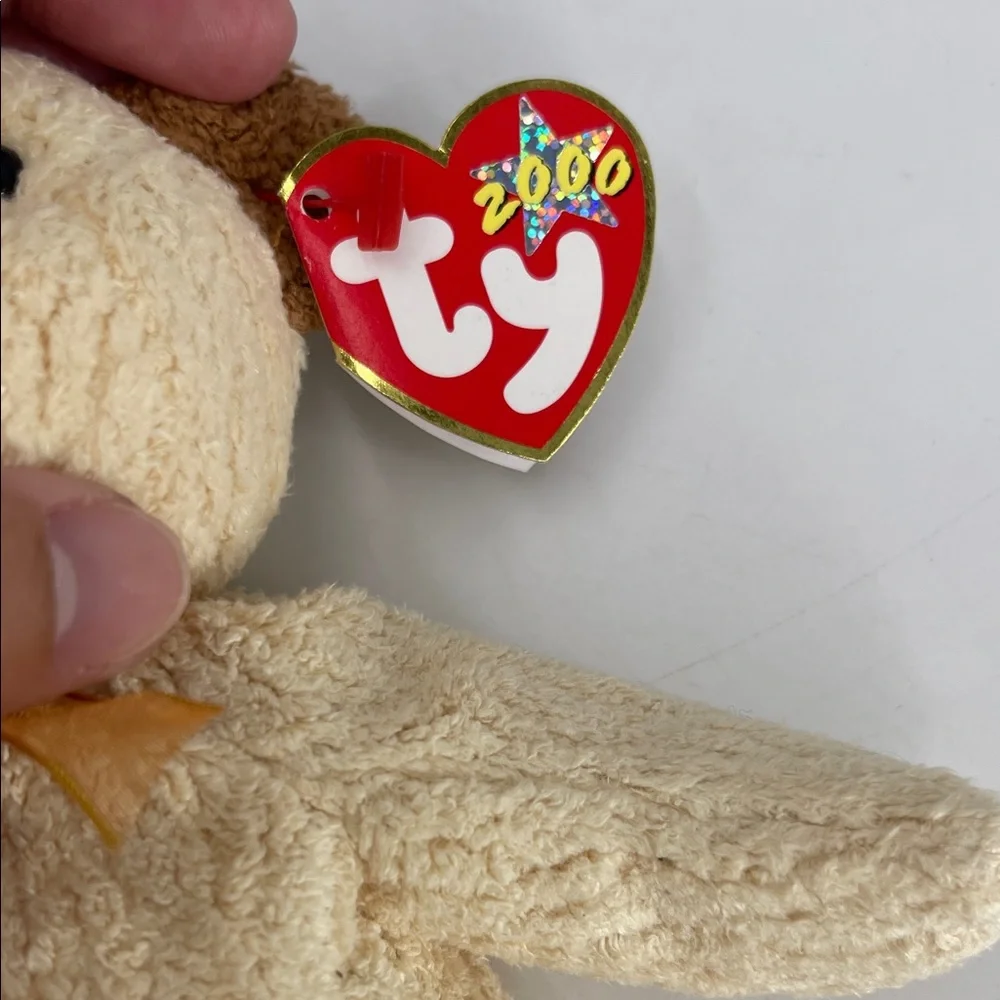 Ty Beanie 2000-2004 Colorful Plush Bear Set